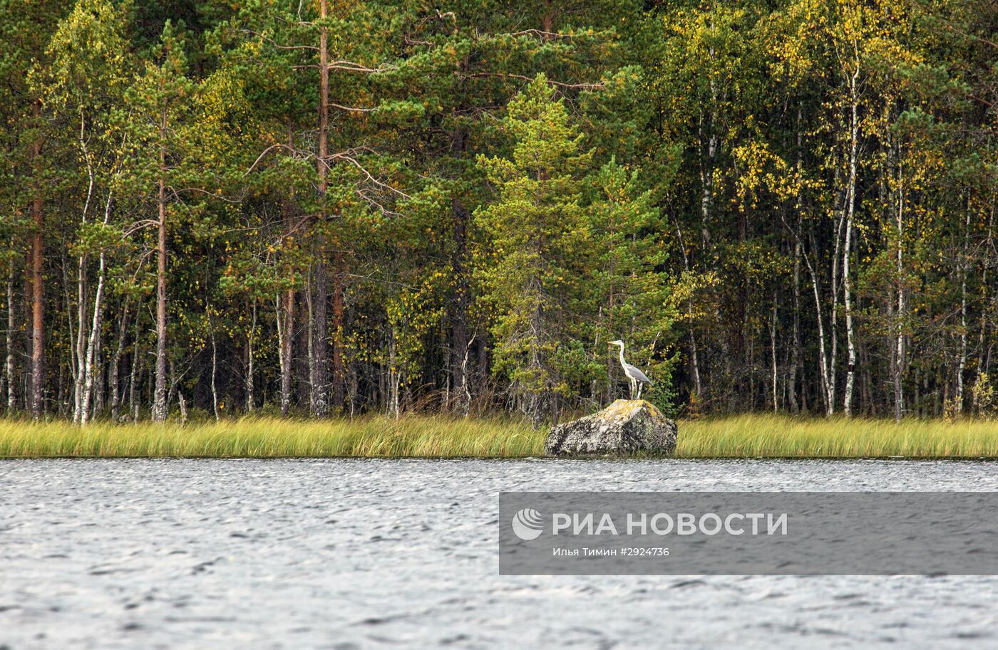 Регионы России. Карелия