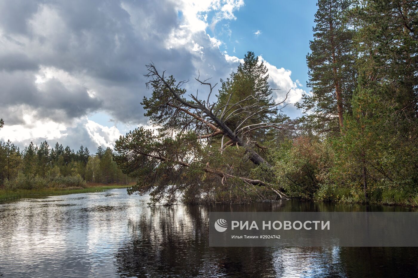 Регионы России. Карелия