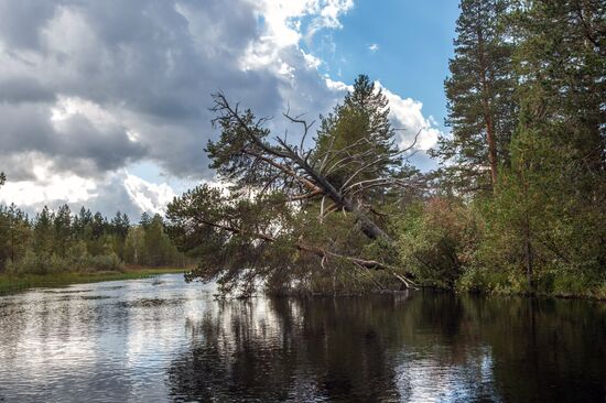 Регионы России. Карелия