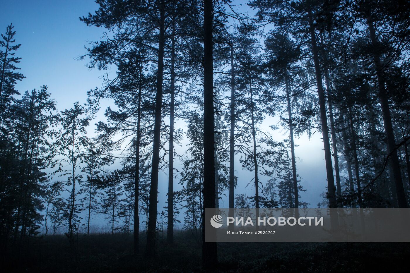 Регионы России. Карелия