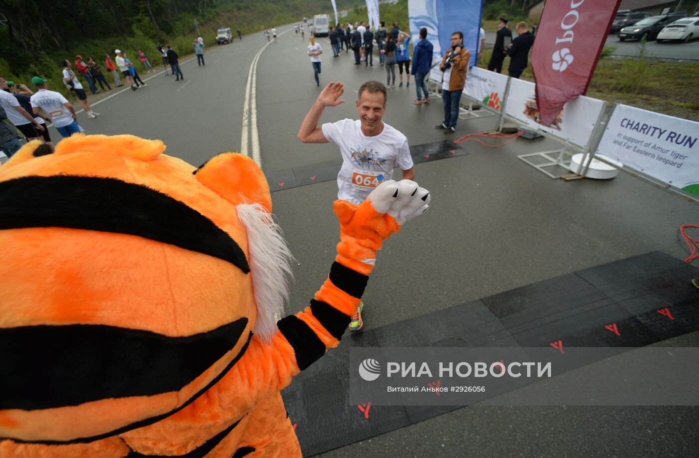 Благотворительный забег в защиту амурского тигра и дальневосточного леопарда во Владивостоке