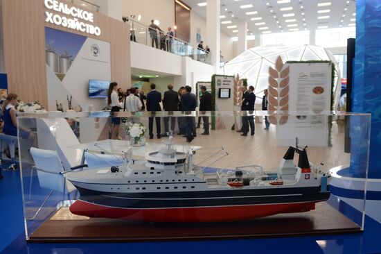 Восточный экономический форум. День первый