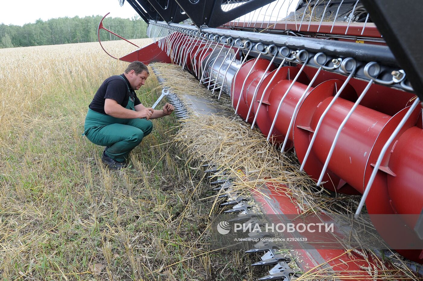 Уборка зерновых в Челябинской области