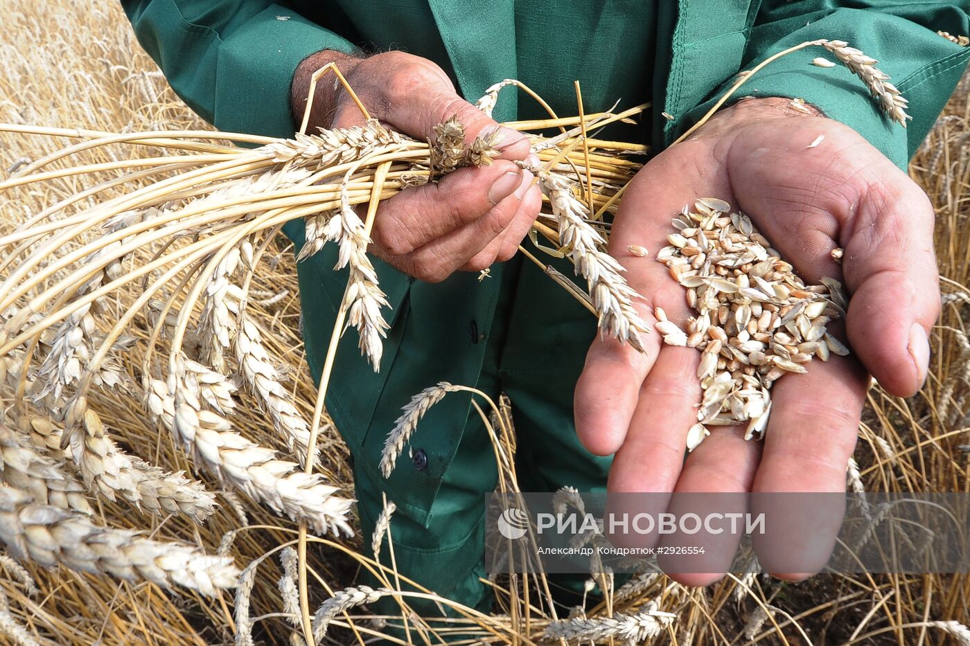 Уборка зерновых в Челябинской области