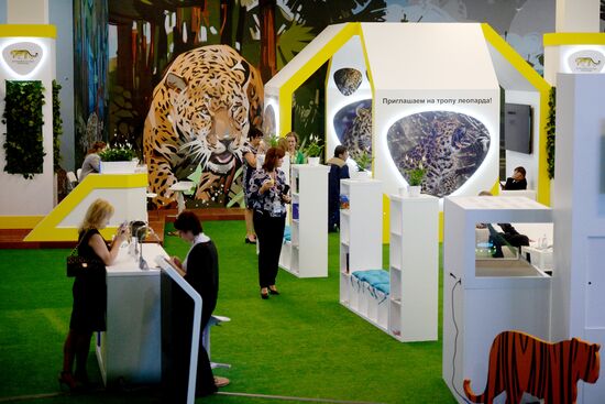 Восточный экономический форум. День первый