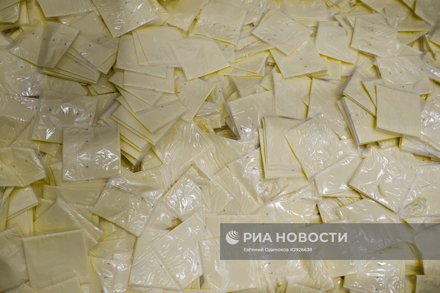 Производство в России плавленого сыра Viola