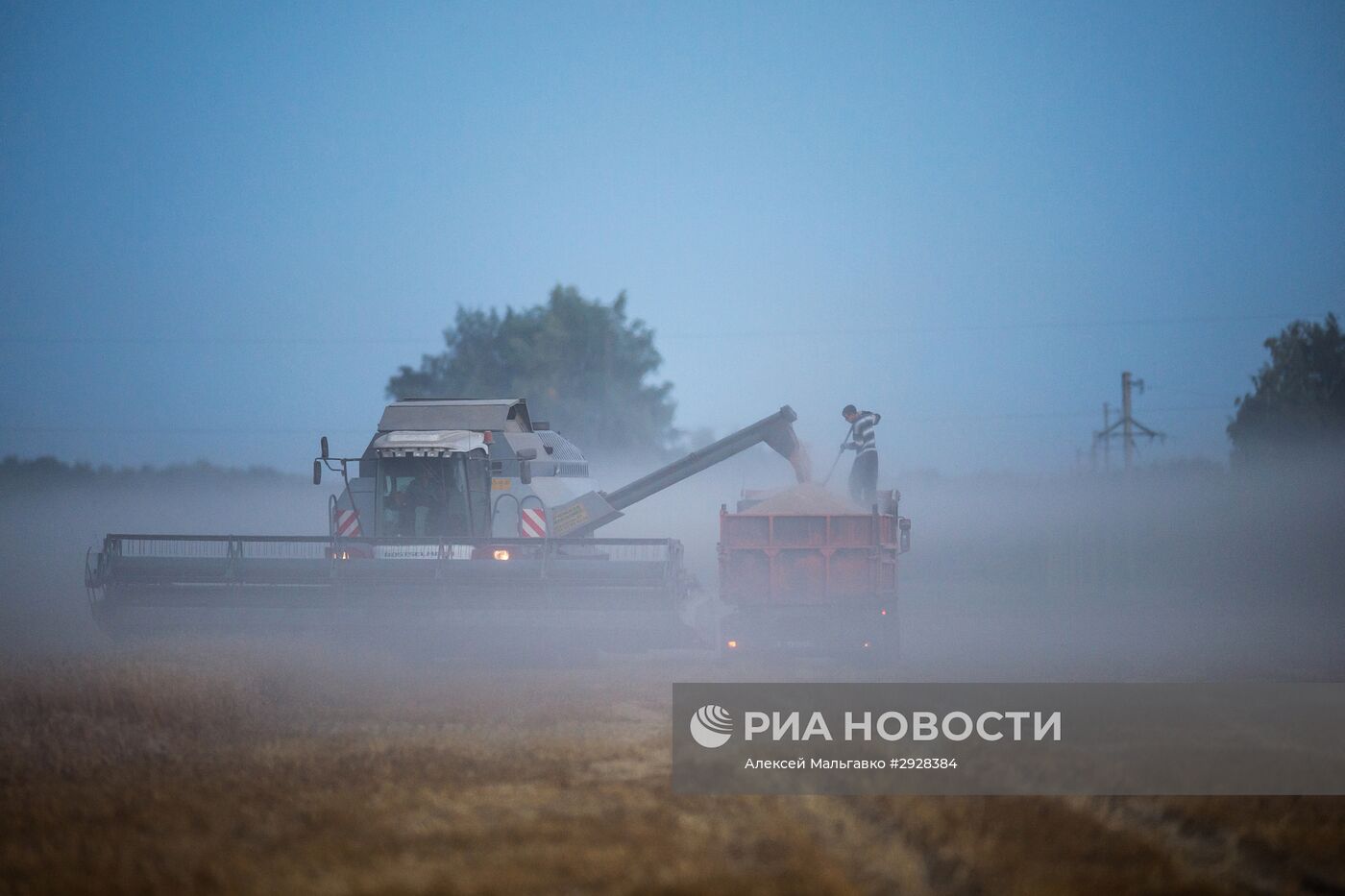 Уборка пшеницы в Омской области