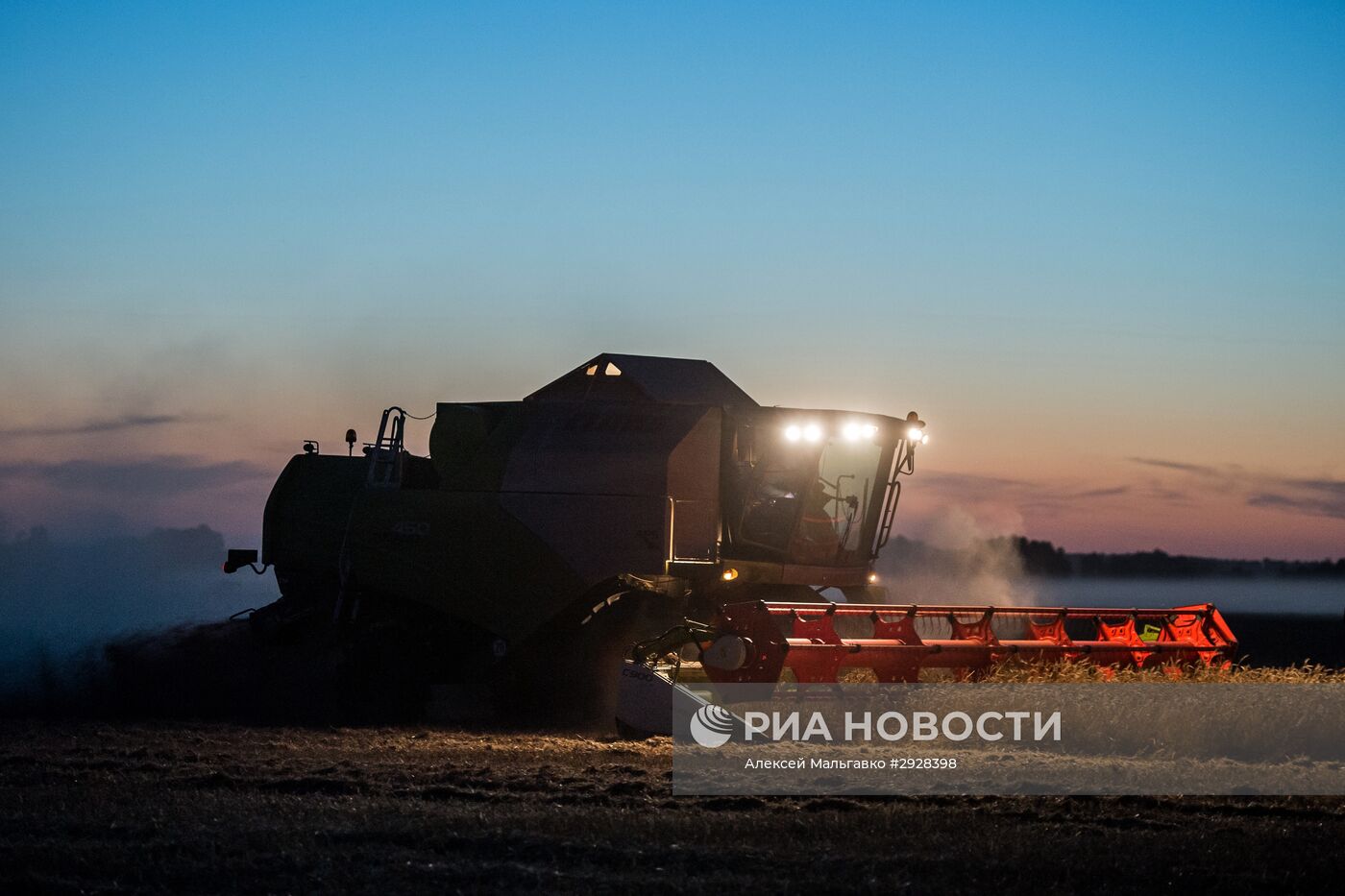 Уборка пшеницы в Омской области