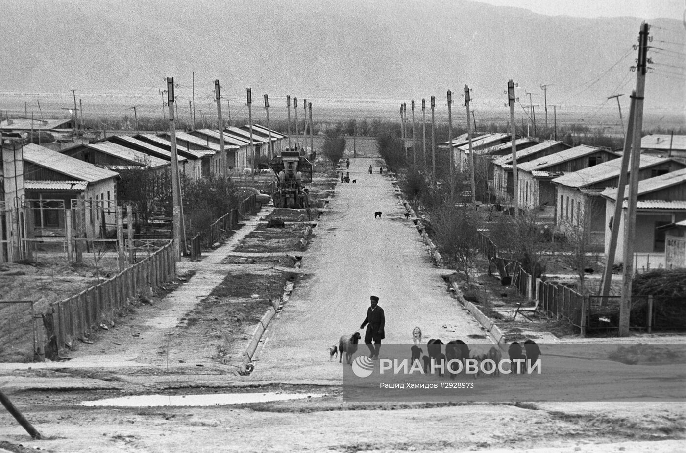 Освоение целинных земель в Бешкентской долине