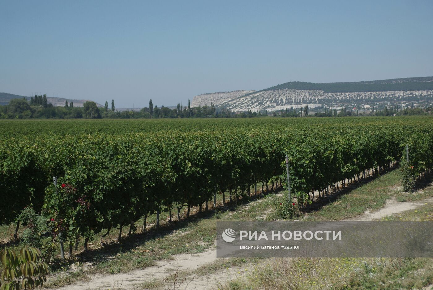 Винодельческое хозяйство "Шато Люсьен" в Крыму