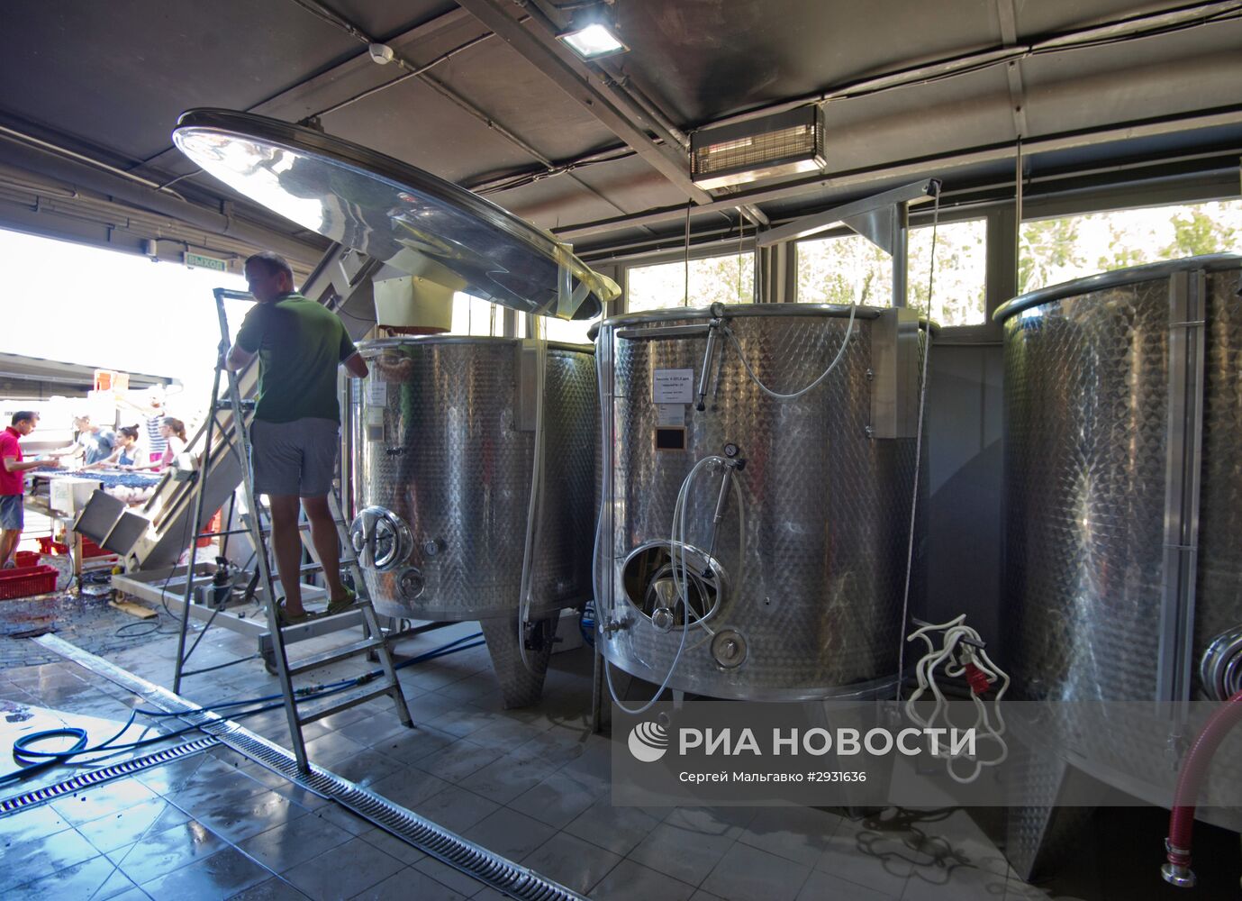 Винодельческое хозяйство "UPPA Winery" в Крыму