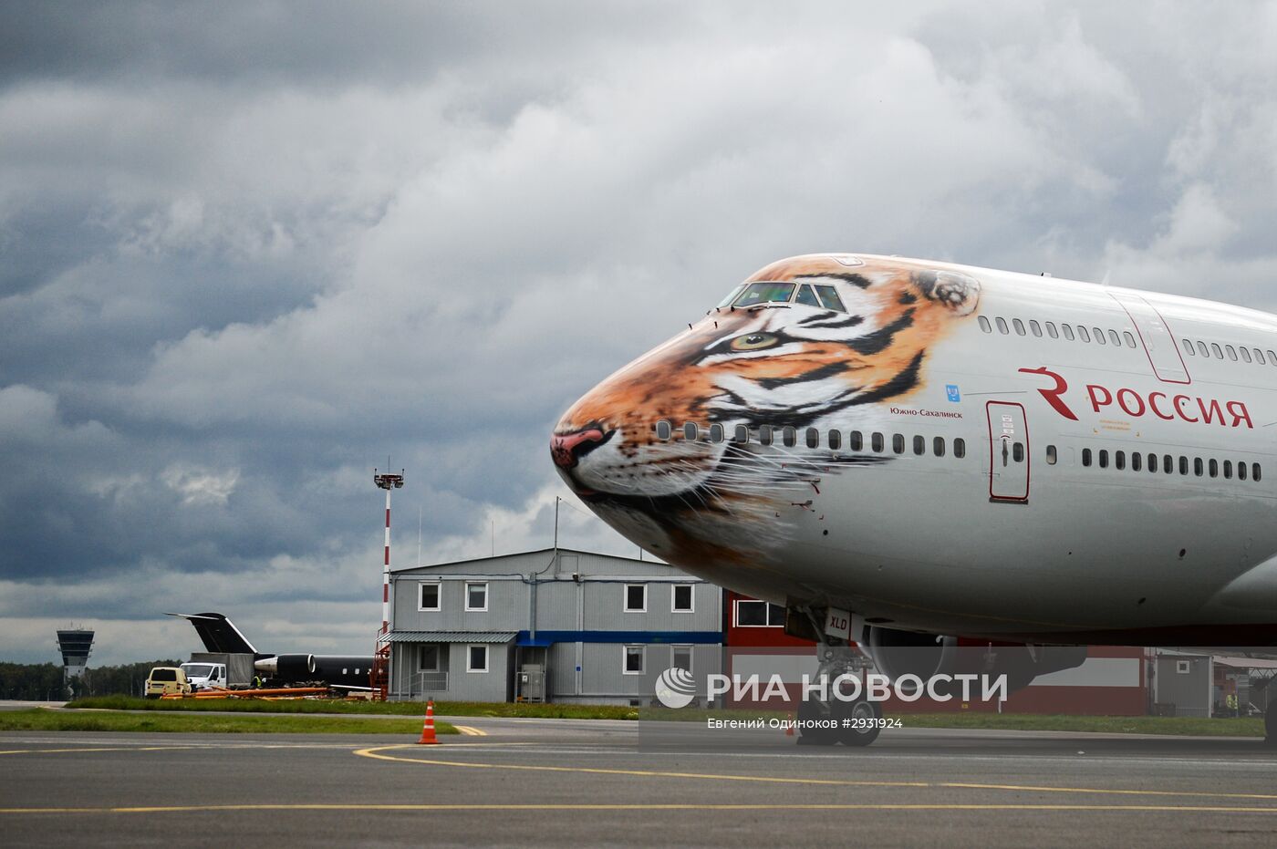 Презентация ливреи самолета Boeing 747-400 в тигриной раскраске | РИА  Новости Медиабанк