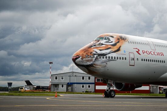Презентация ливреи самолета Boeing 747-400 в тигриной раскраске