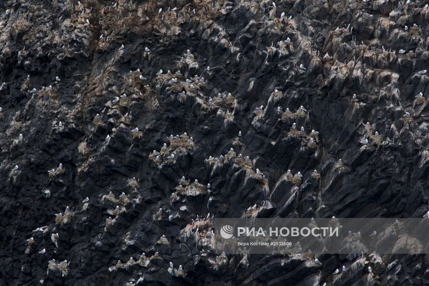 Экспедиция Национального парка "Русская Арктика"