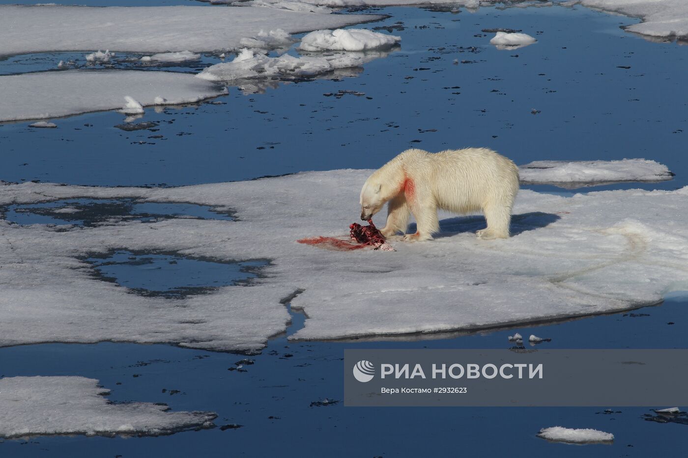 Экспедиция Национального парка "Русская Арктика"