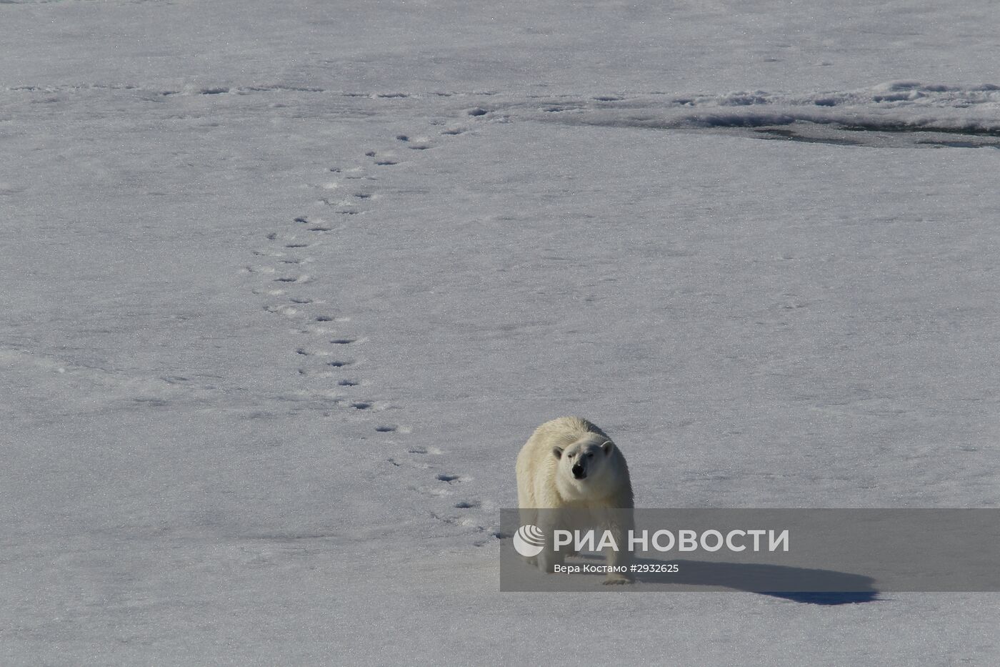 Экспедиция Национального парка "Русская Арктика"