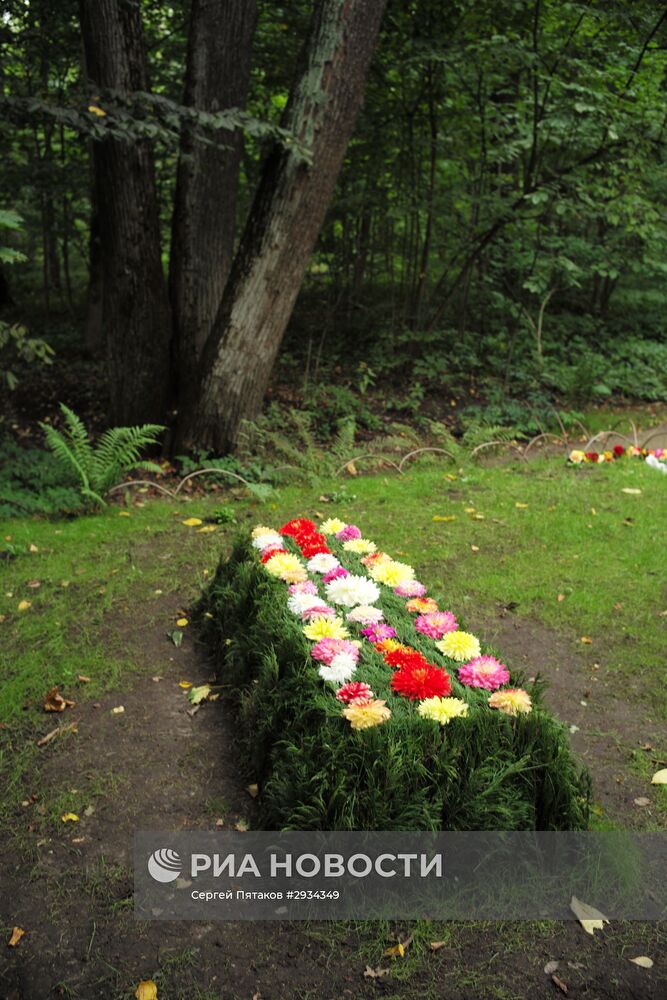 Музей-усадьба Ясная поляна