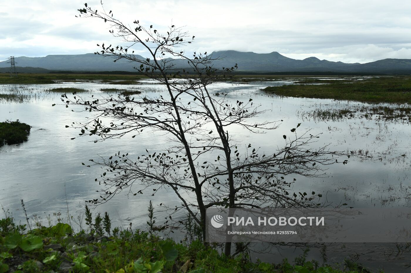 Виды России. Курильские острова