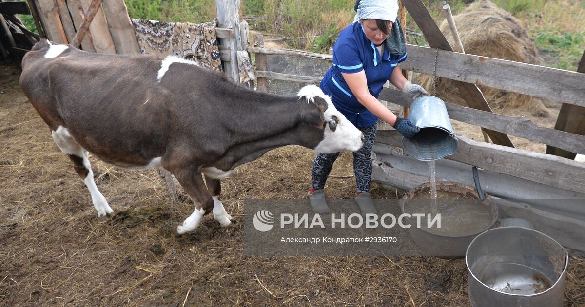 Село кидыш челябинская область. Село Кидыш. Село Кидыш Челябинская. Деревня Кидыш Челябинская область. Облегчение ухода за скотиной Челябинская область.