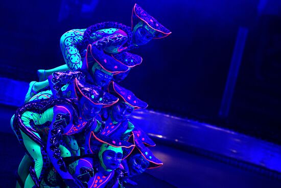 Шоу победителей фестиваля циркового искусства "Идол"