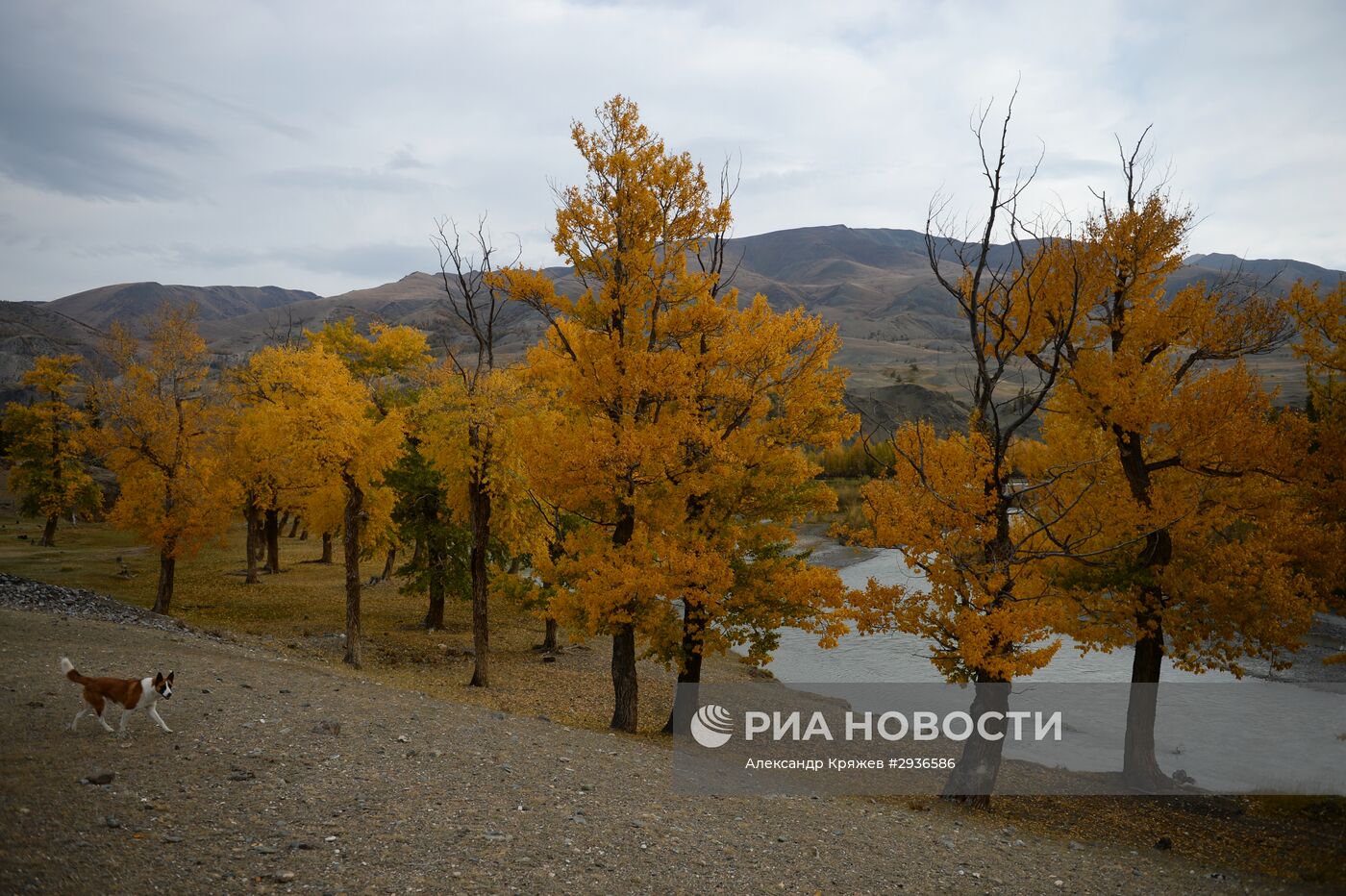 Осень на Алтае