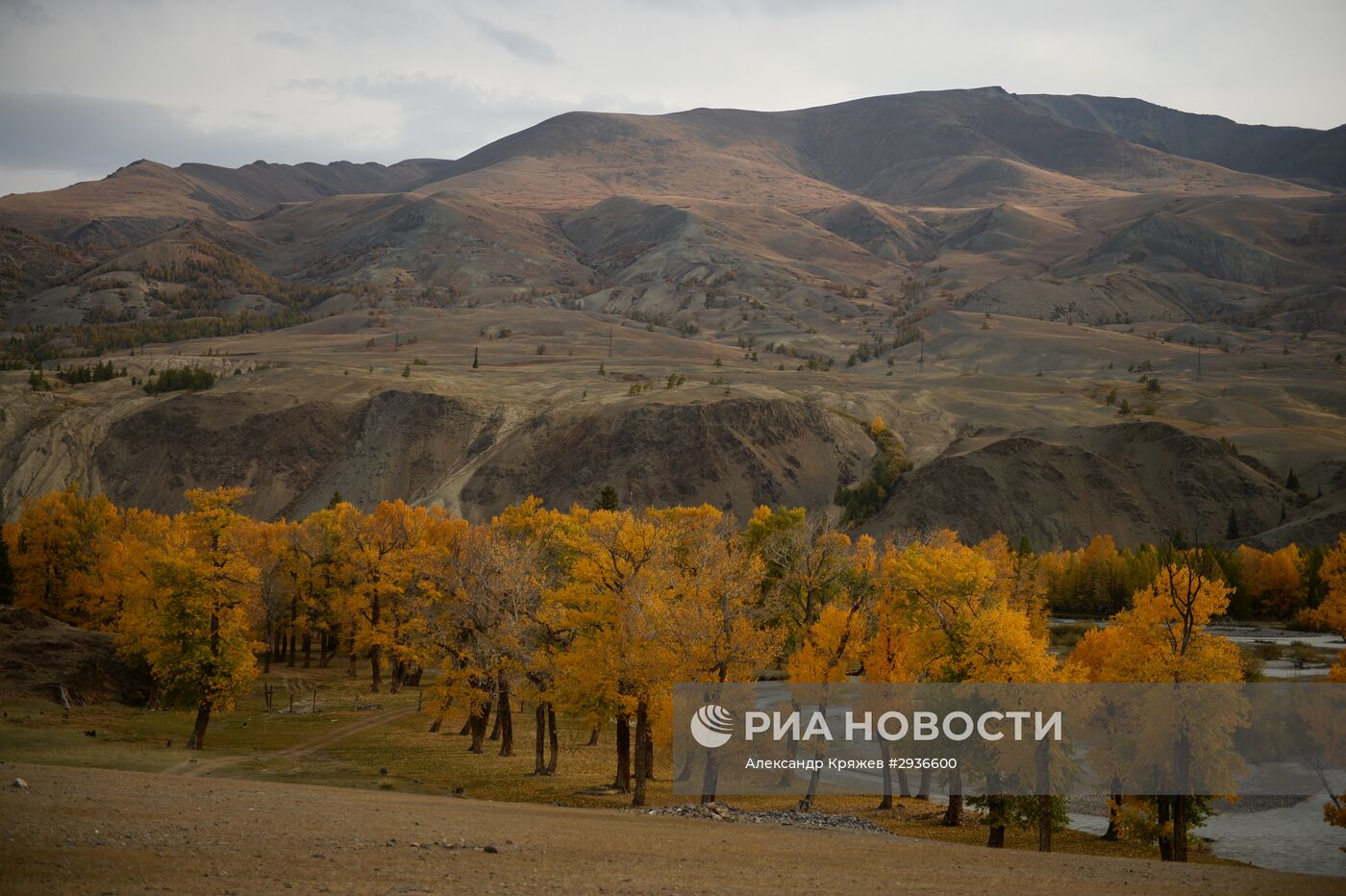 Осень на Алтае