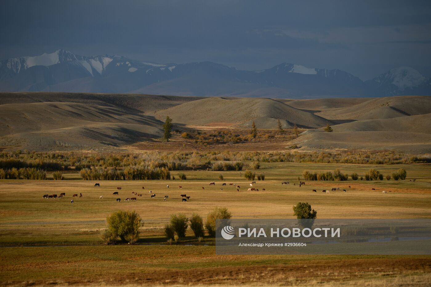 Осень на Алтае