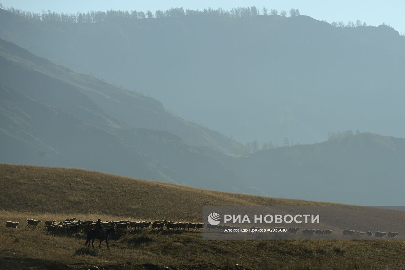 Осень на Алтае