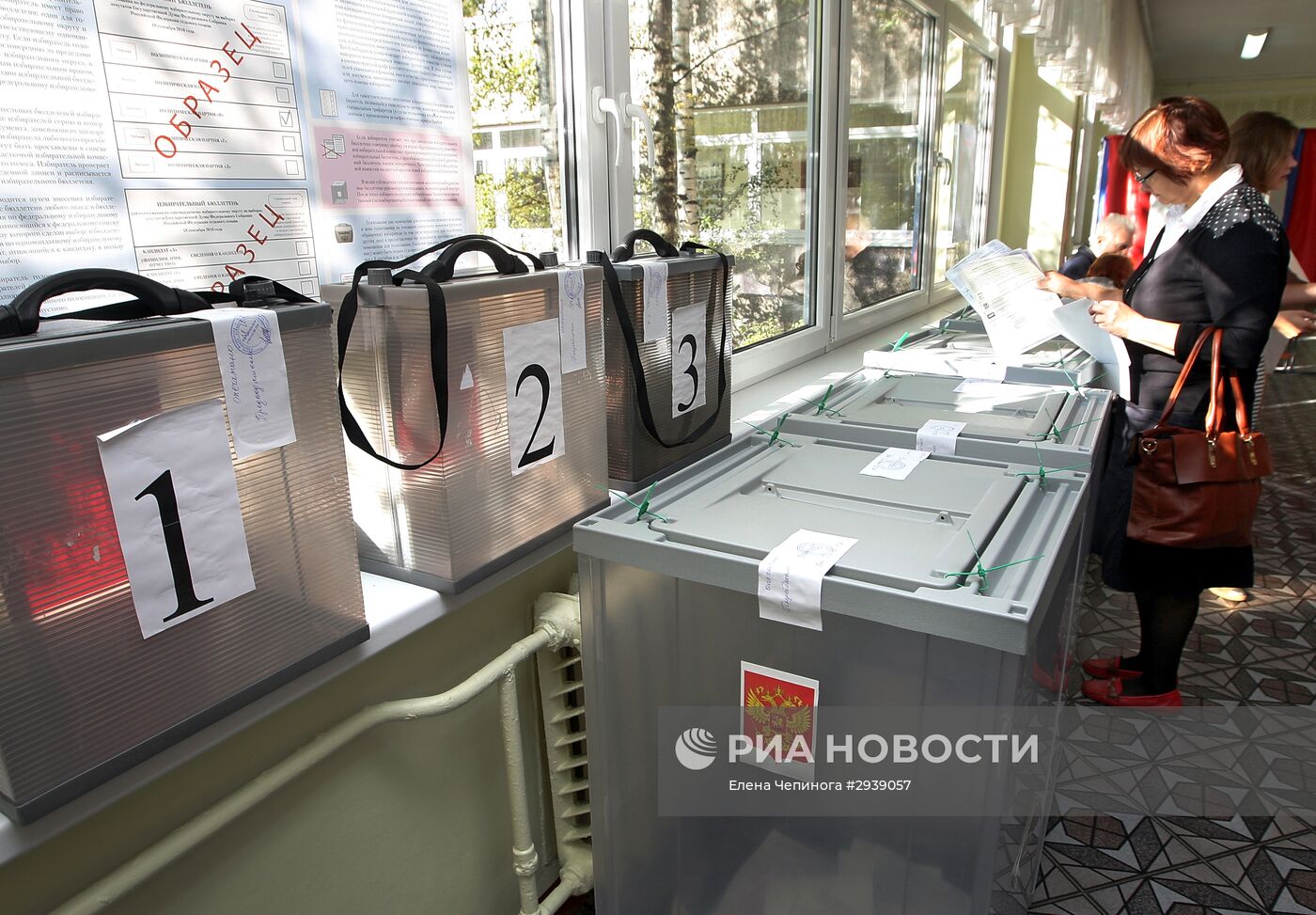 Единый день голосования в регионах России