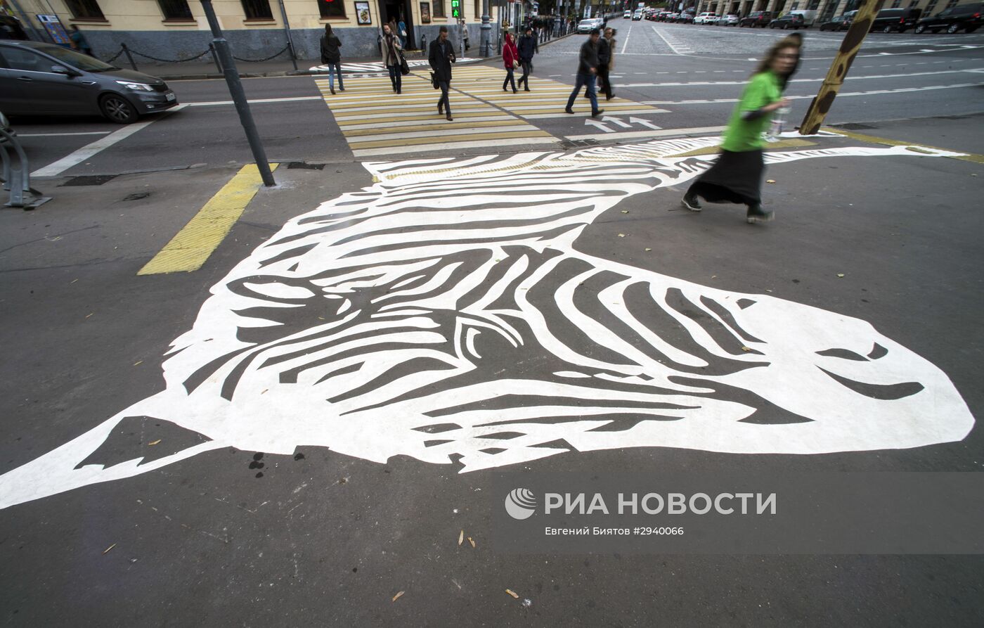 Пешеходный переход с рисунком зебры появился рядом с Московским зоопарком