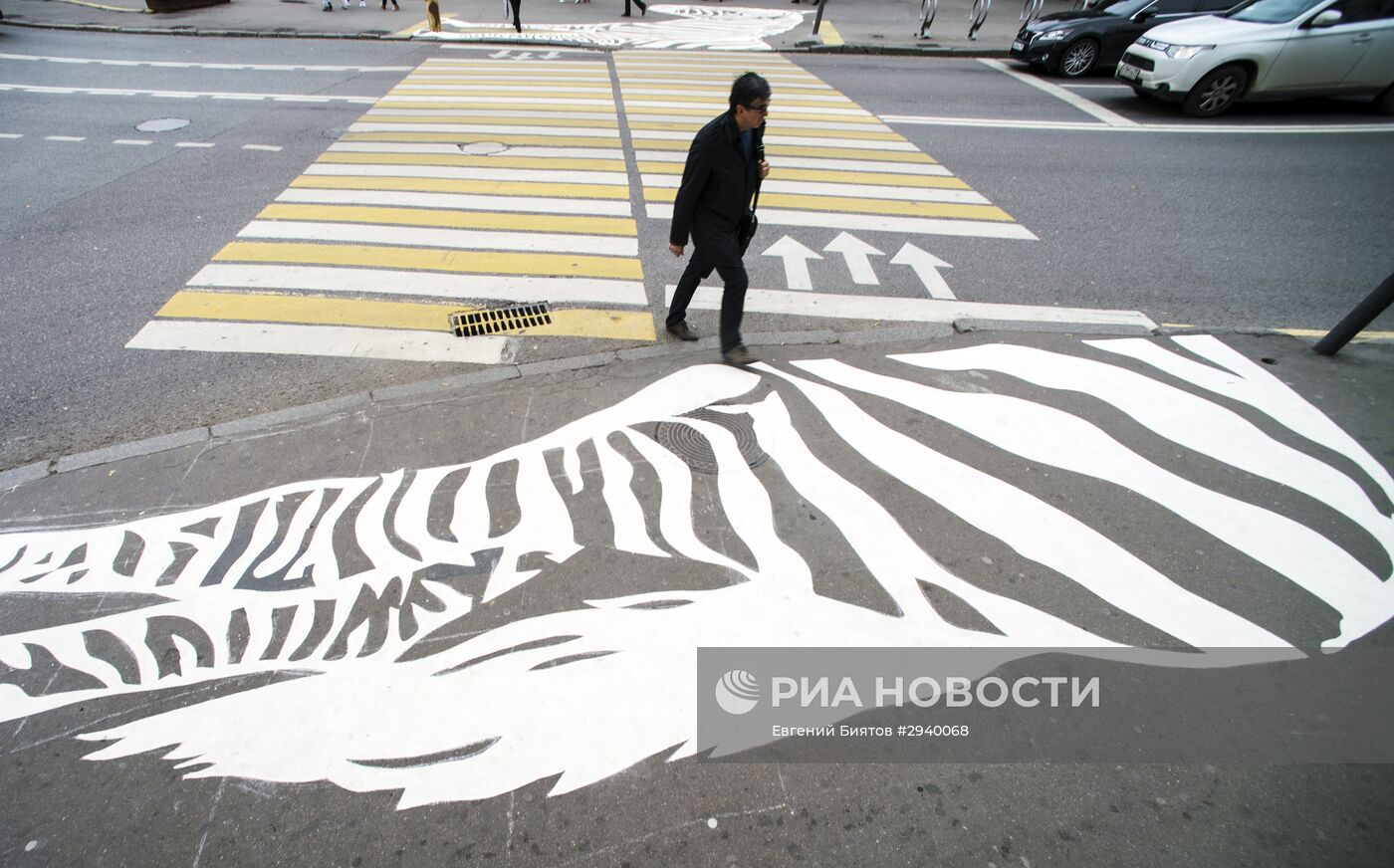 Пешеходный переход с рисунком зебры появился рядом с Московским зоопарком