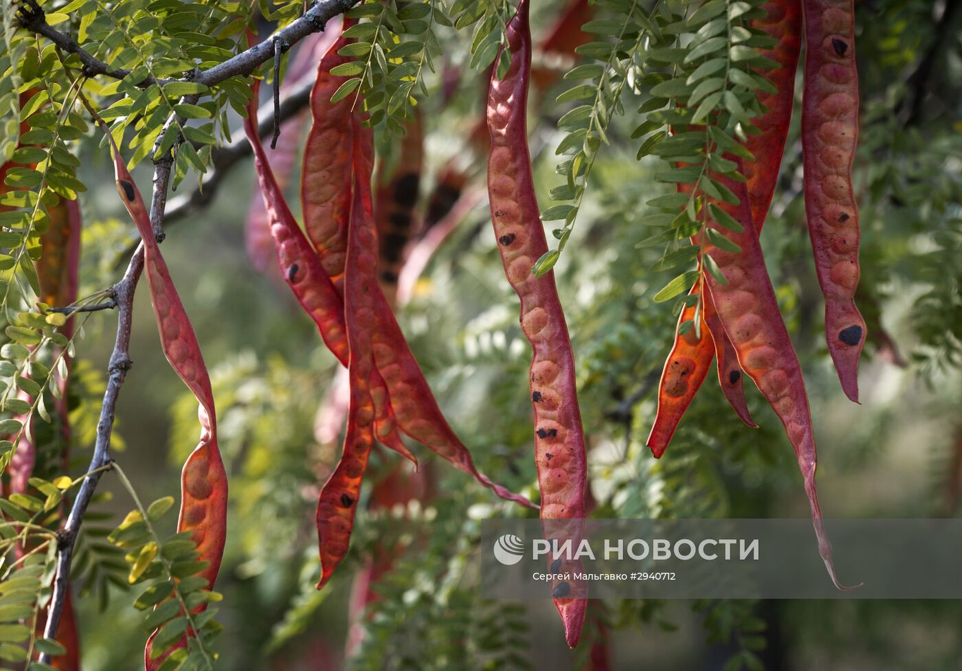 Регионы России. Крым