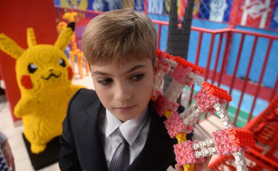 Инновационный отечественный конструктор "Фанкластик"