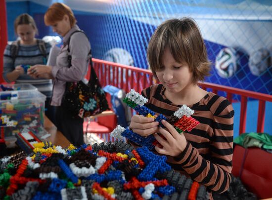 Инновационный отечественный конструктор "Фанкластик"