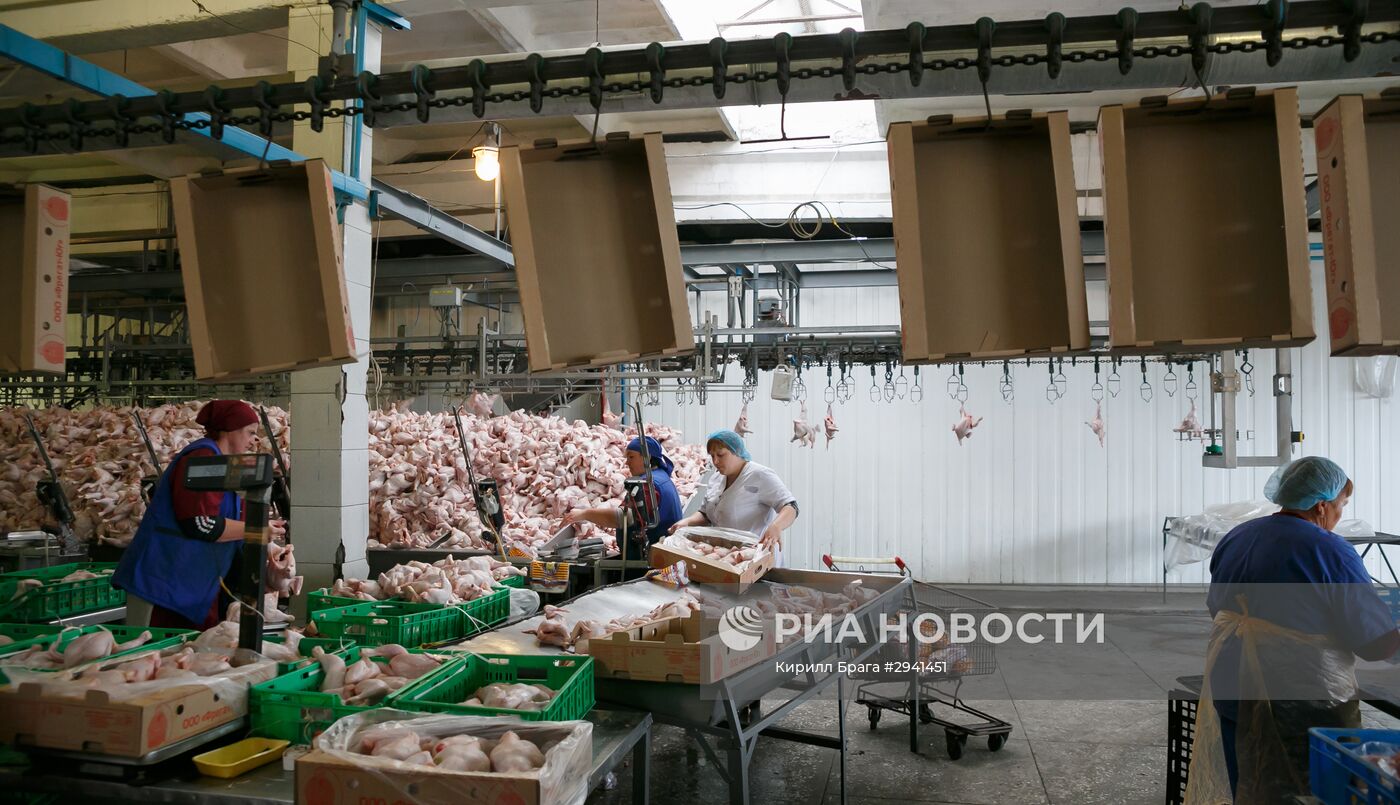 Птицефабрика в Волгоградской области