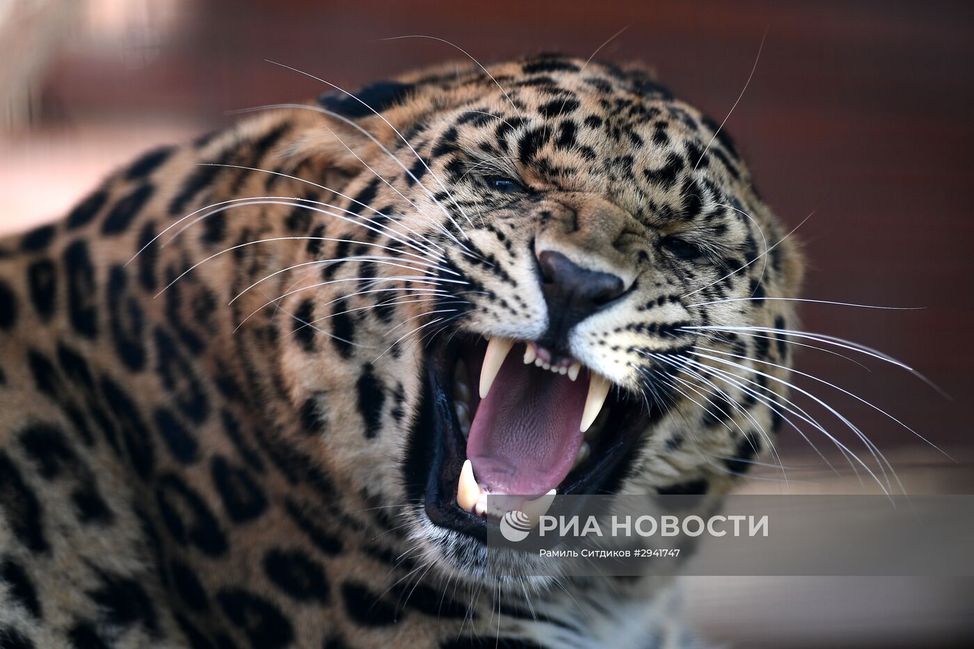 Зоопитомник Московского зоопарка