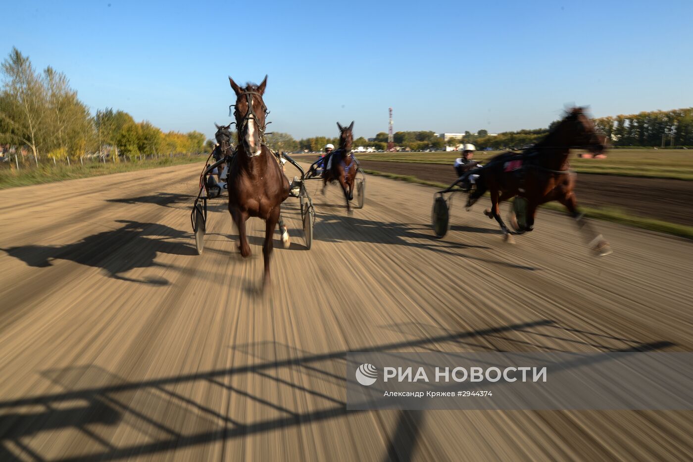 Скачки на "Кубок губернатора" в Новосибирске