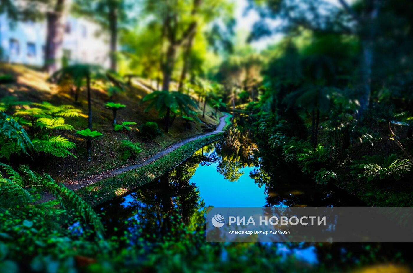 Остров Сан-Мигель