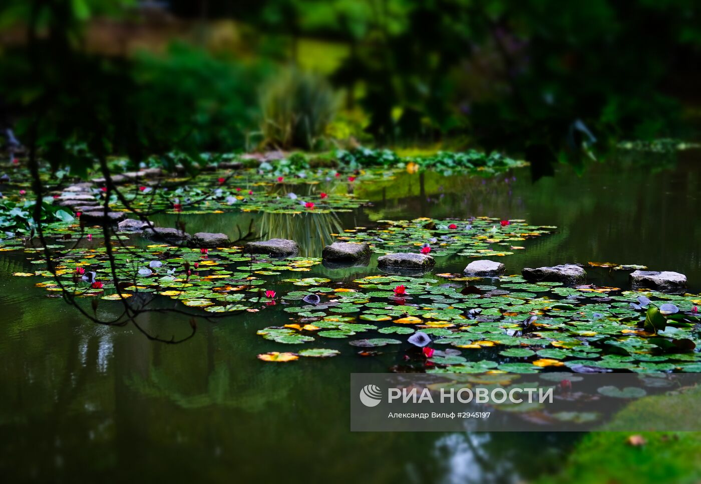 Остров Сан-Мигель