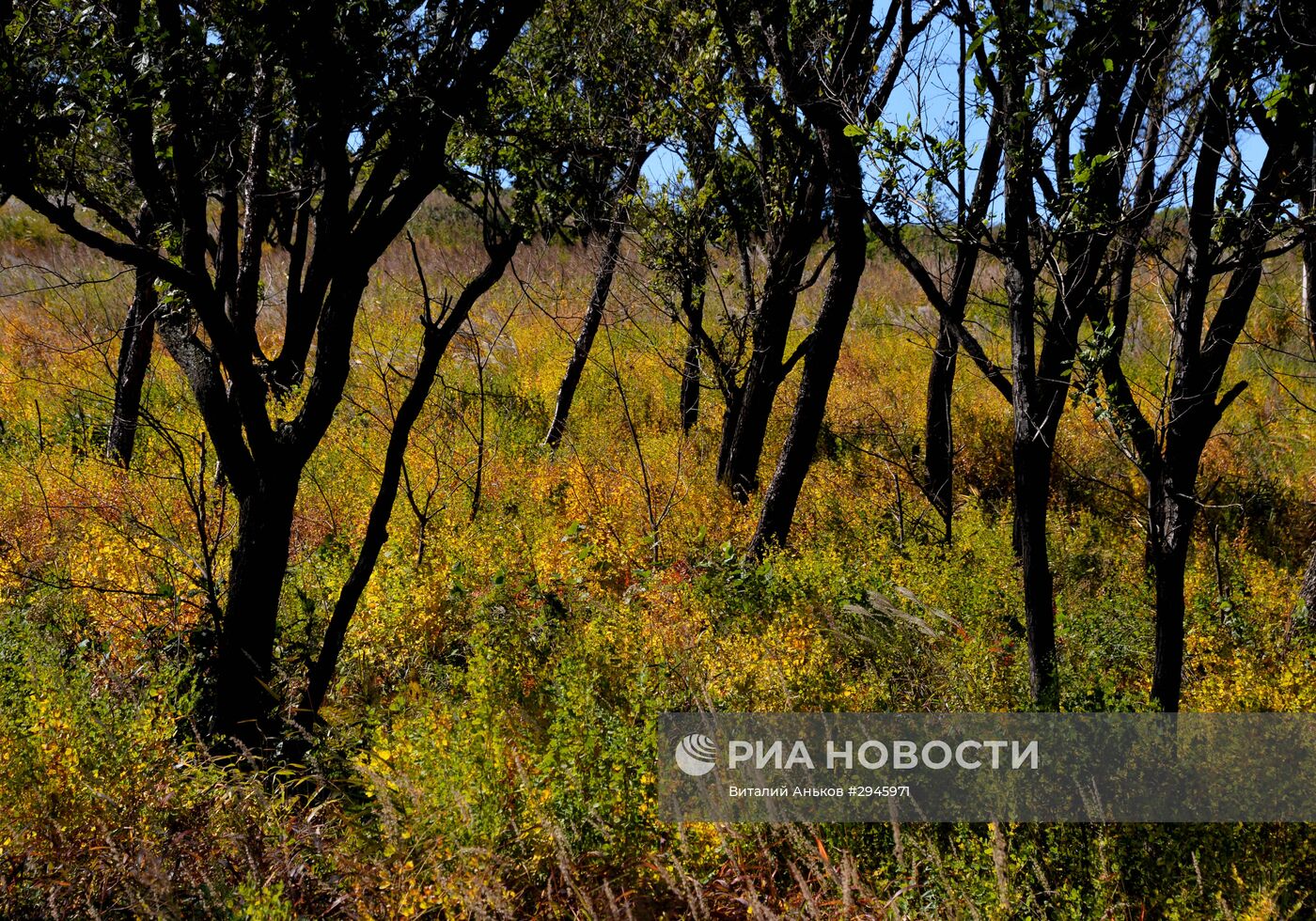 Осень на юге Приморского края