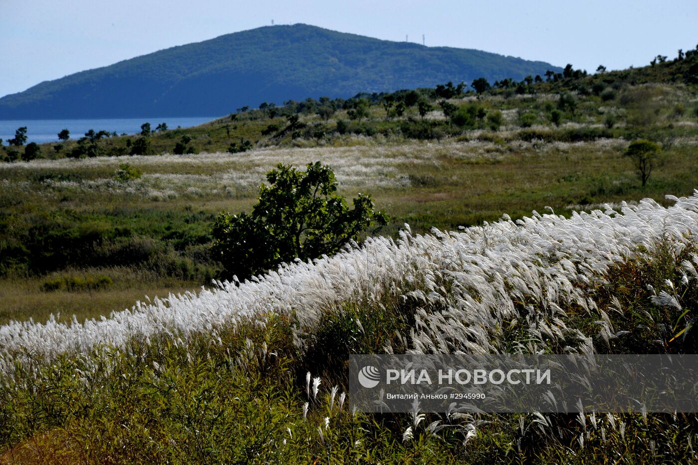 Осень на юге Приморского края