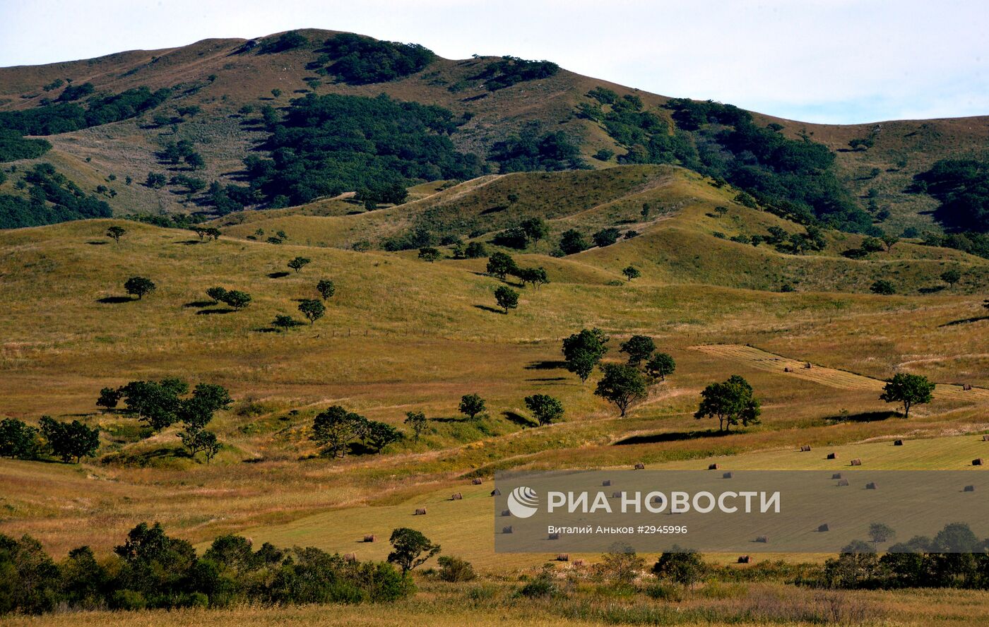 Осень на юге Приморского края