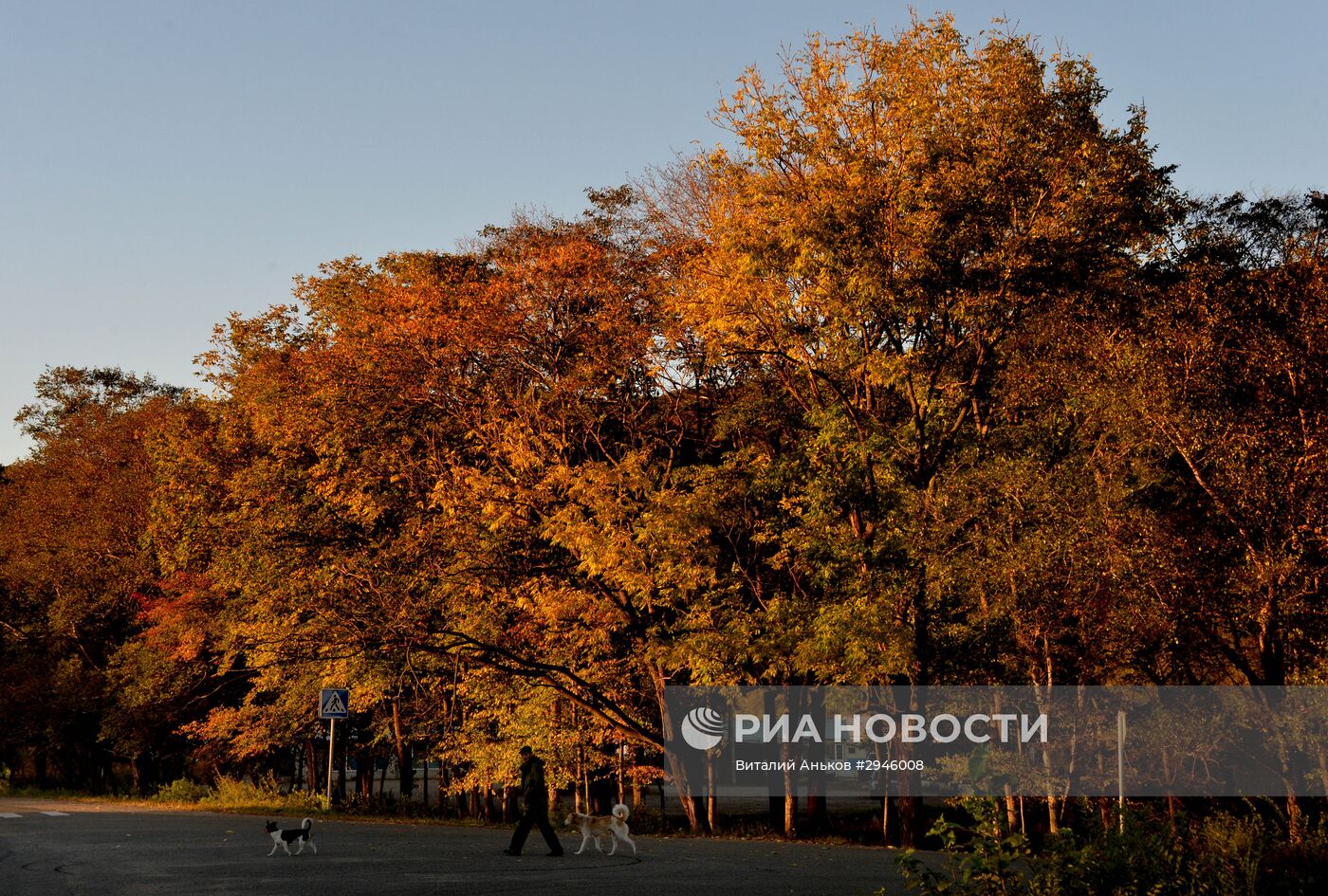 Осень на юге Приморского края