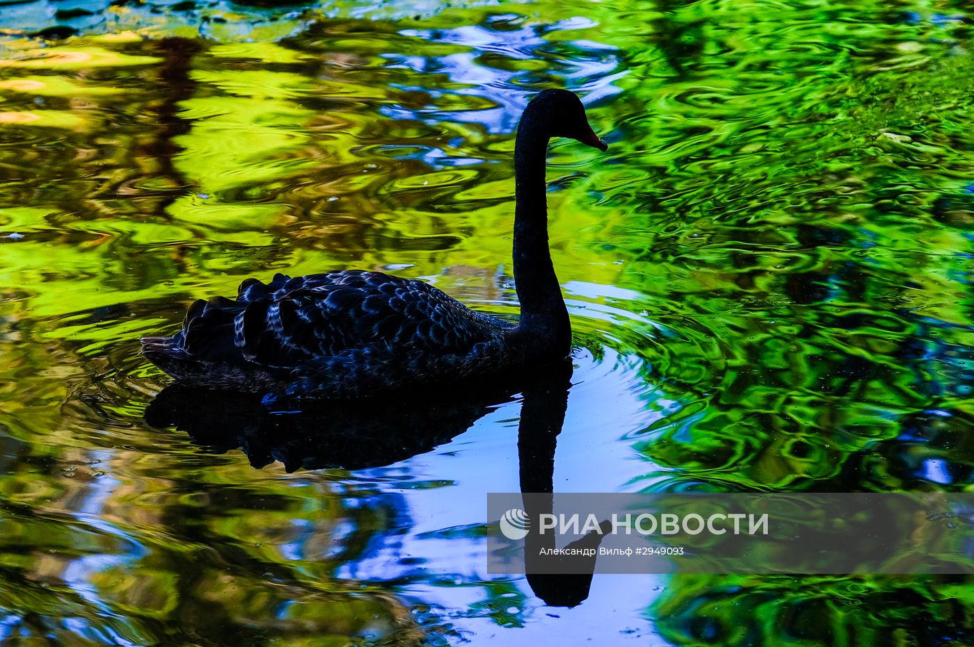 Остров Сан-Мигель
