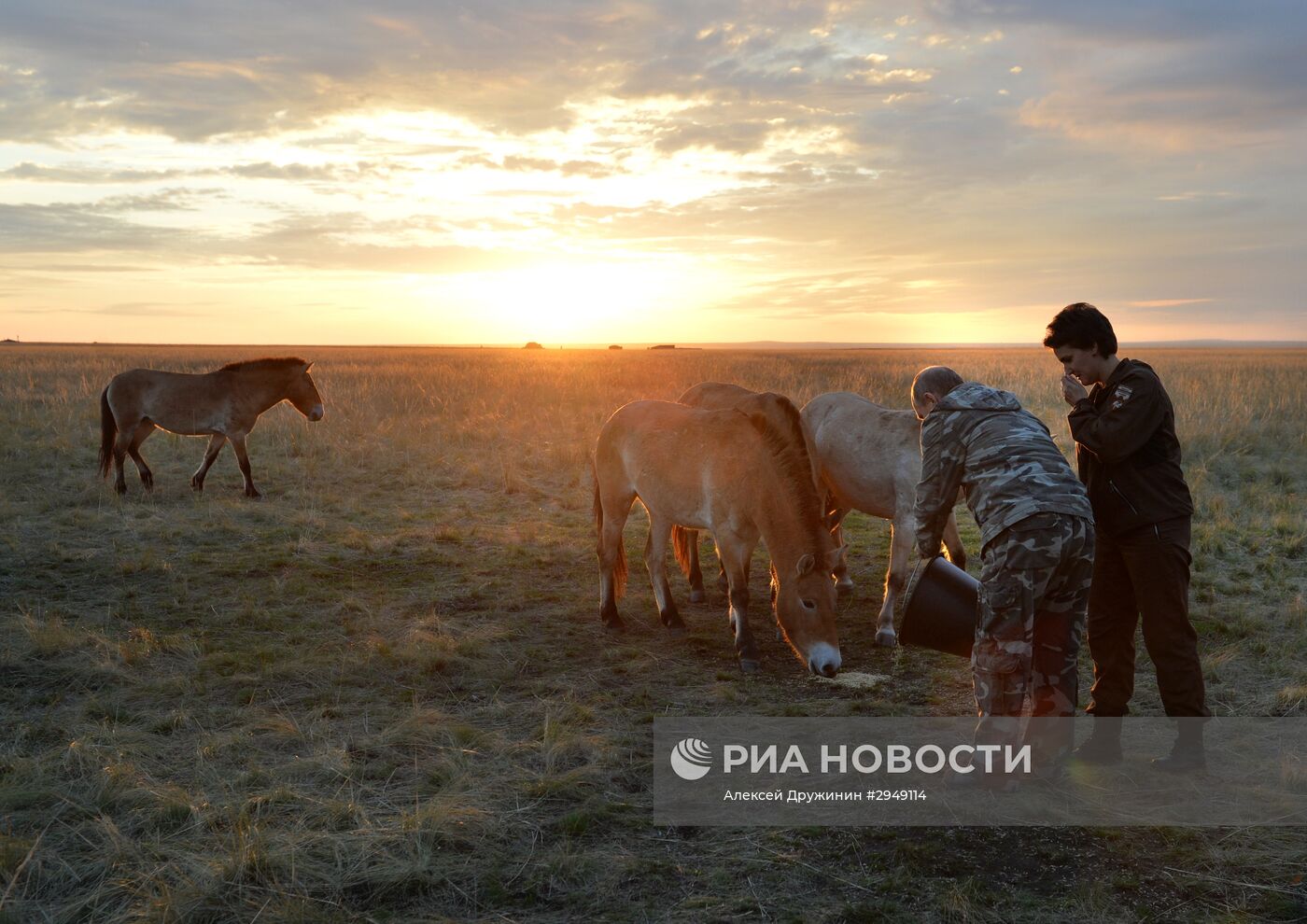 Рабочая поездка президента РФ В. Путина в Оренбургскую область