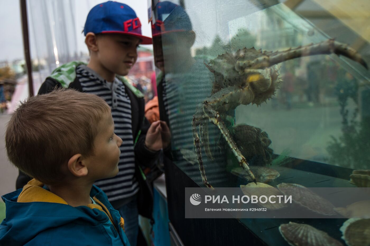 "Рыбная неделя" в рамках фестиваля "Золотая осень"