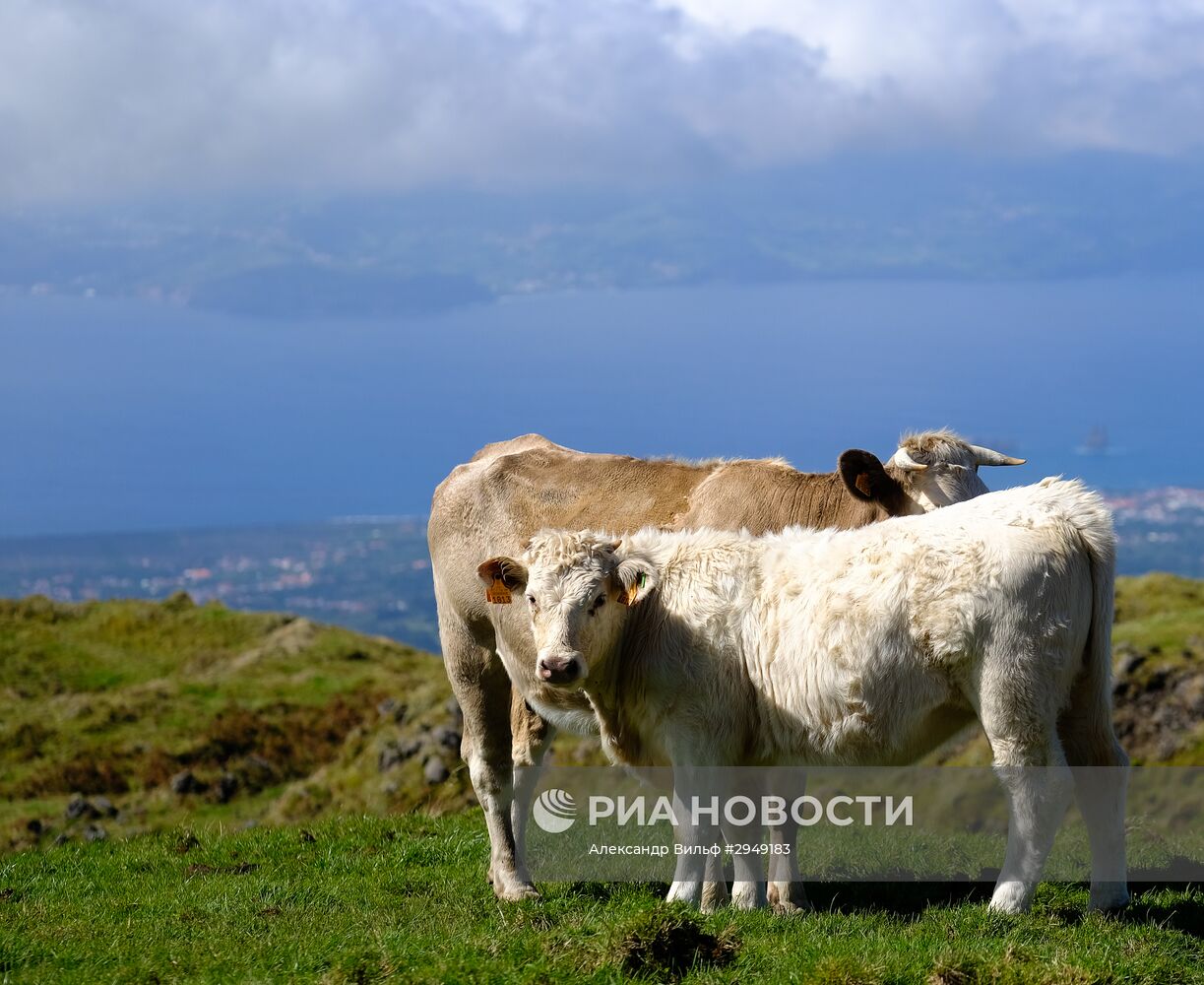 Остров Пику