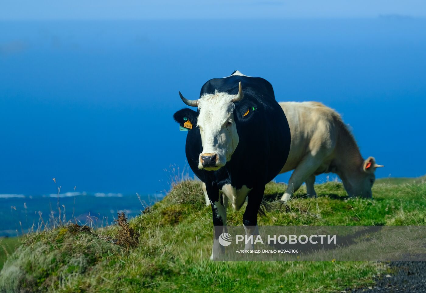 Остров Пику