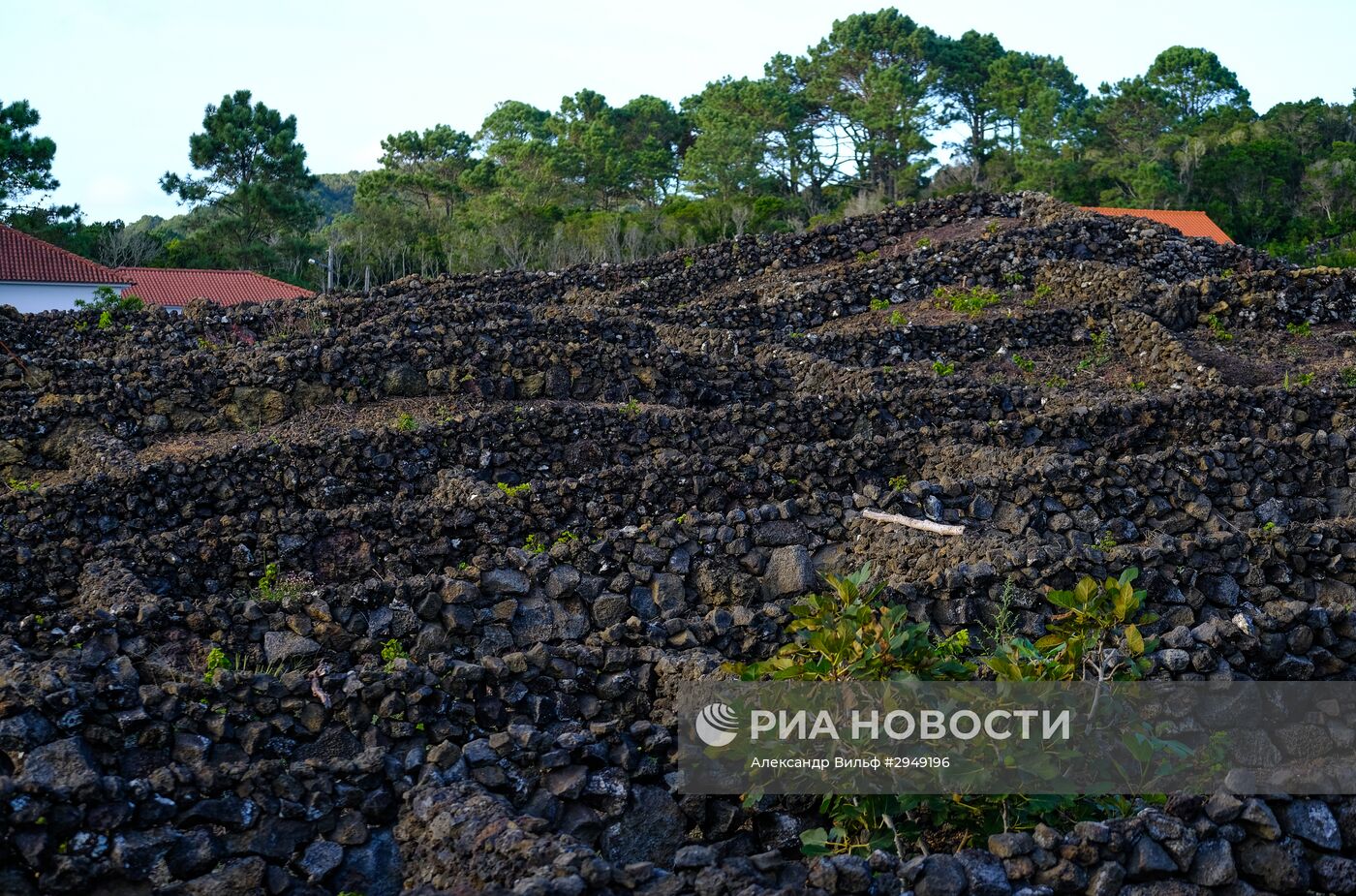 Остров Пику