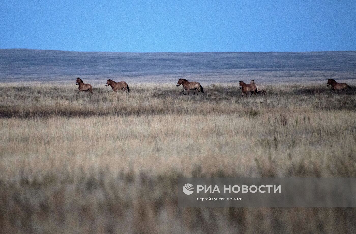 Рабочая поездка президента РФ В. Путина в Оренбургскую область